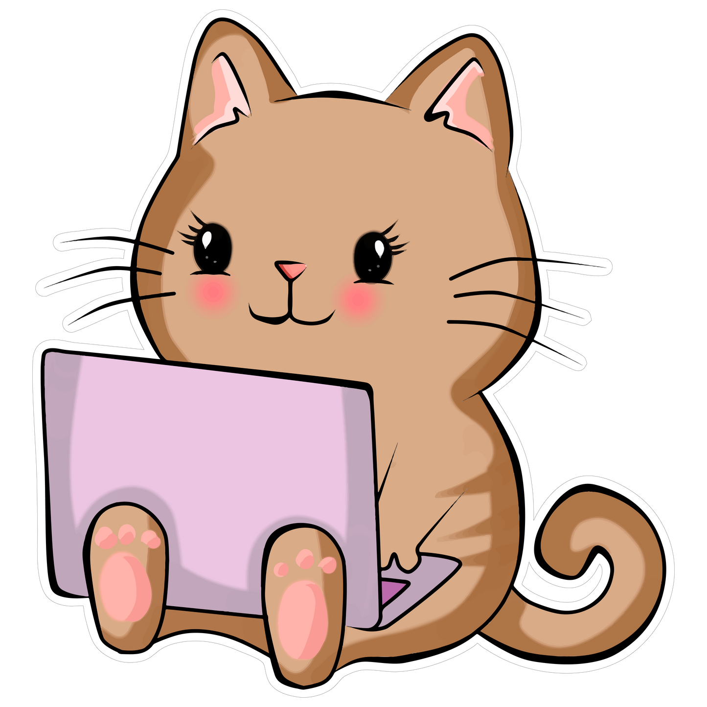 Cute Cat on Laptop