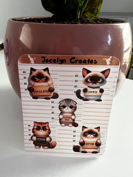 Angry Cats Sticker Sheet